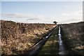 Farm Track at Bellfield