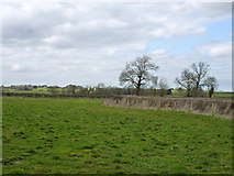 SP7030 : Field near Oxlane Bridge by Robin Webster