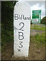 SX1070 : Old Milestone by the A30, at junction to Blisland by Rosy Hanns