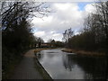 Walsall Canal, Ocker Hill