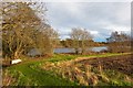 Lakes on Craggie Farm