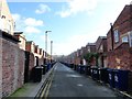 Bin day in Jesmond