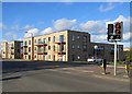 New housing on Coldham