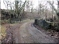 Pont ger Ty Wern / Bridge near Ty Wern