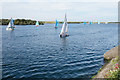 Regatta on Marine Lake