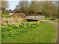 Footbridge over landscaped side stream, Buckingham