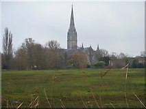 SU1329 : Salisbury features [4] by Michael Dibb