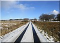 Tracks in the snow near Gainerhill