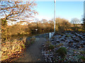 Path near the Forth and Clyde Canal