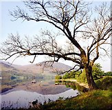 NN5922 : Jetty on Loch Earn at Edinample by Alan Reid