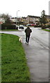 ST3090 : Walking the dog, Rowan Way, Malpas, Newport by Jaggery