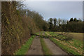 Wessex Ridgeway approaching Preston Wood