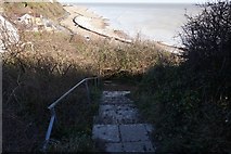 TR3747 : Steps down to Oldstairs Bay by Ian S
