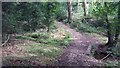 Path heading to Beenham Church