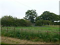 Corner of a field at Nyth Glyd