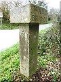 Old Guide Stone near Broads Cottages, Helland