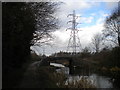 Walsall Canal approaching Wiggins Mill Bridge, Wednesbury