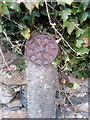 SH6266 : Remains of an old reflective roadside  disc, Bethesda by Meirion