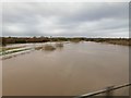 SK7956 : River Trent in flood by Andrew Abbott