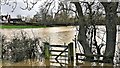 TQ2118 : Flooded footpath west of Nymans Farm by Ian Cunliffe