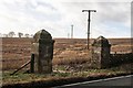 Gateposts opposite the Buffalo Farm, Boglily