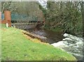 Footbridge over the Allander Water