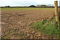 SW8058 : Farmland near Crantock Plains Touring Park by Derek Harper