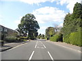 Buxton Lane, Caterham