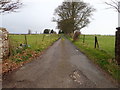 Track to Pen y Ffridd Farm