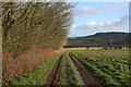 Wessex Ridgeway beside Bottom Copse