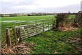 Field gateway on NE side of road NW of Edenhall Cottage