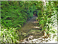 Stream Lane, Fairlight Cove