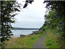 NT1380 : Fife Coastal Path towards North Queensferry by Mat Fascione