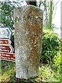 Old Guide Stone by the B3269, Pelyndowns