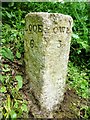 Old Milestone near Treneddan