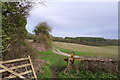 The Wessex Ridgeway path on Preston Hill