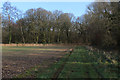 Wessex Ridgeway approaching Great Ridge Wood