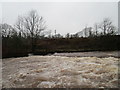 Weir on the Allan Water, Dunblane