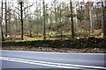 A686 passing Slatequarry Wood