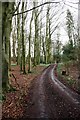 Entrance track to Folly Cottages