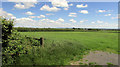 Field near Youldon