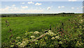 Farmland near Youldon