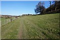 Elham Valley Way towards Hall Downs