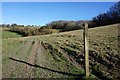 Elham Valley Way towards Hall Downs