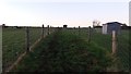 Bridleway heading up Pebbly Hill