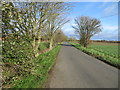 Dog Lane near to Old Boyland Hall