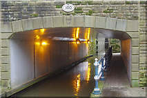 SJ9698 : Bridge 100, Huddersfield Narrow Canal by Stephen McKay