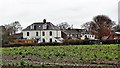 Rear view of houses on Littleworth Lane