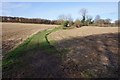 Bridleway  towards Kingston