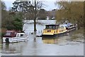 SU6189 : Moored boats in floodwater at Wallingford by David Martin